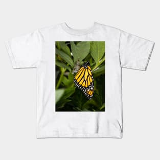 Monarch Butterfly 1 Kids T-Shirt